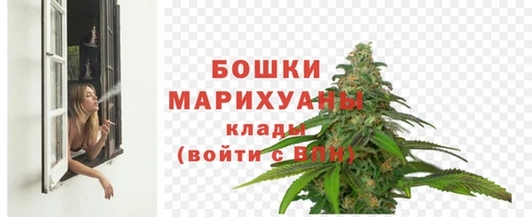 2c-b Болохово